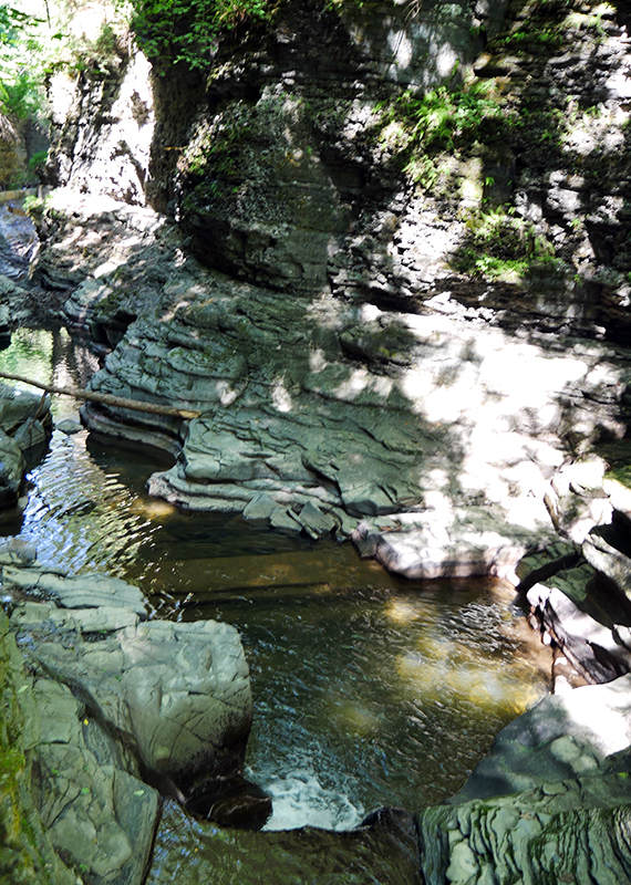 Watkins Glen State Park
