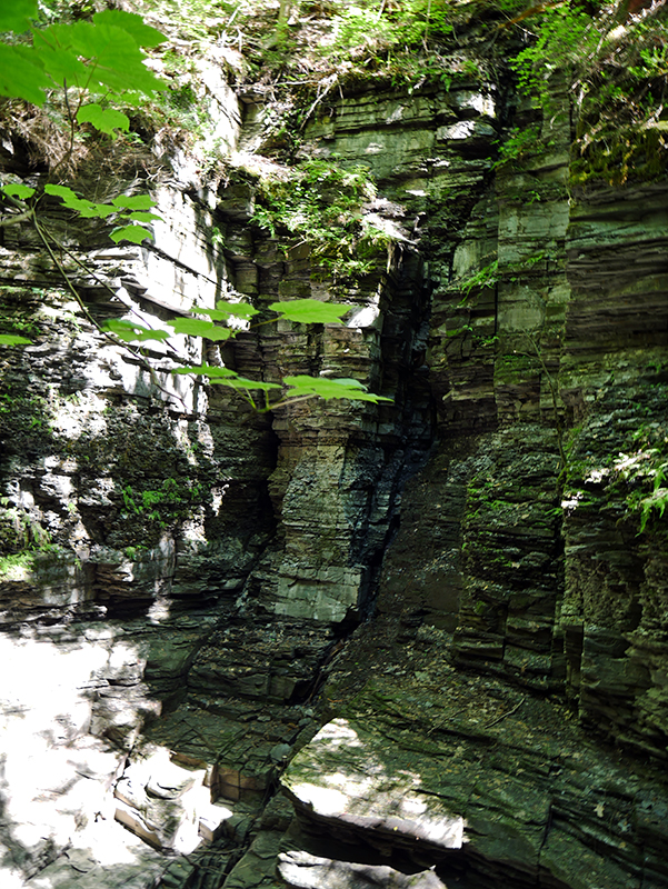 Watkins Glen State Park
