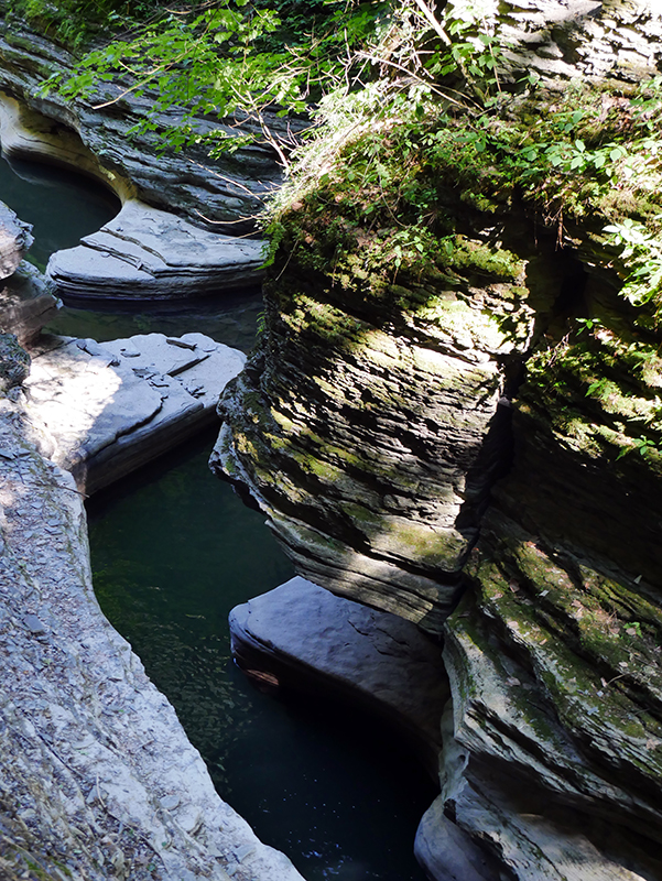 Watkins Glen State Park
