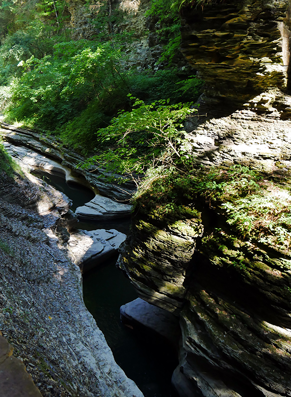 Watkins Glen State Park
