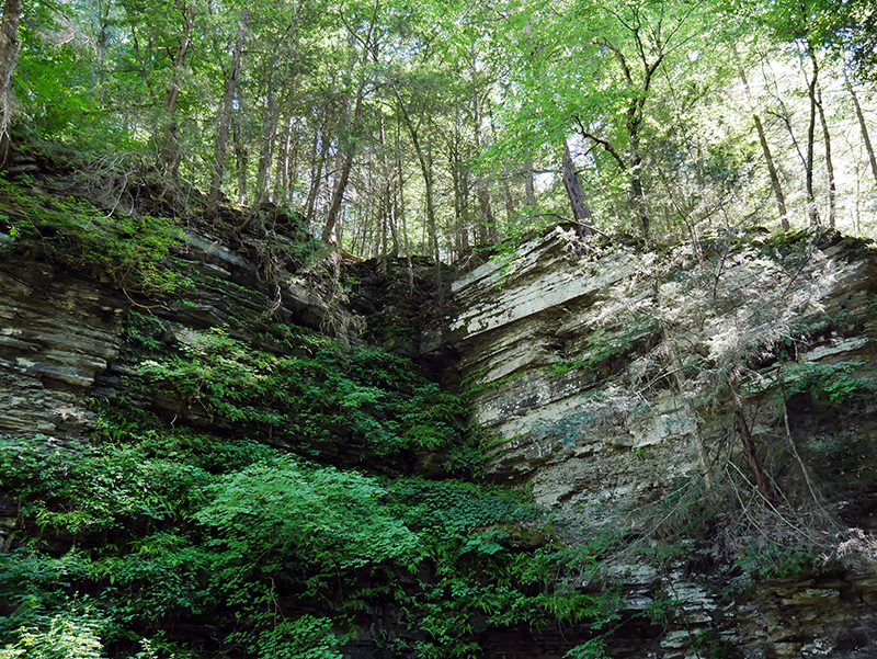 Watkins Glen State Park
