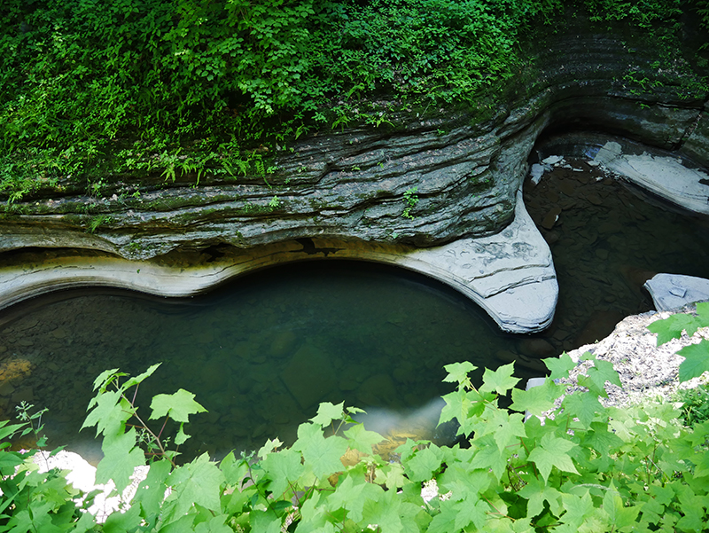 Watkins Glen State Park
