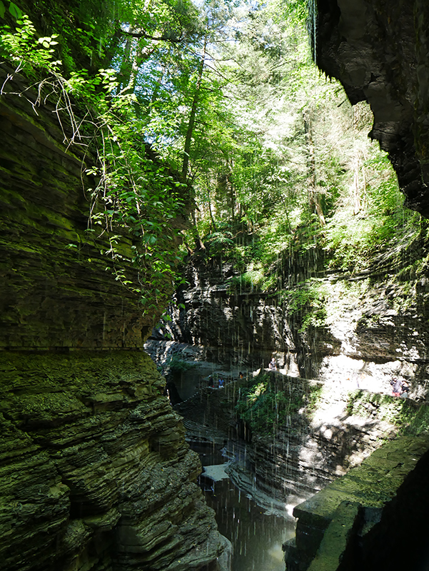 Watkins Glen State Park
