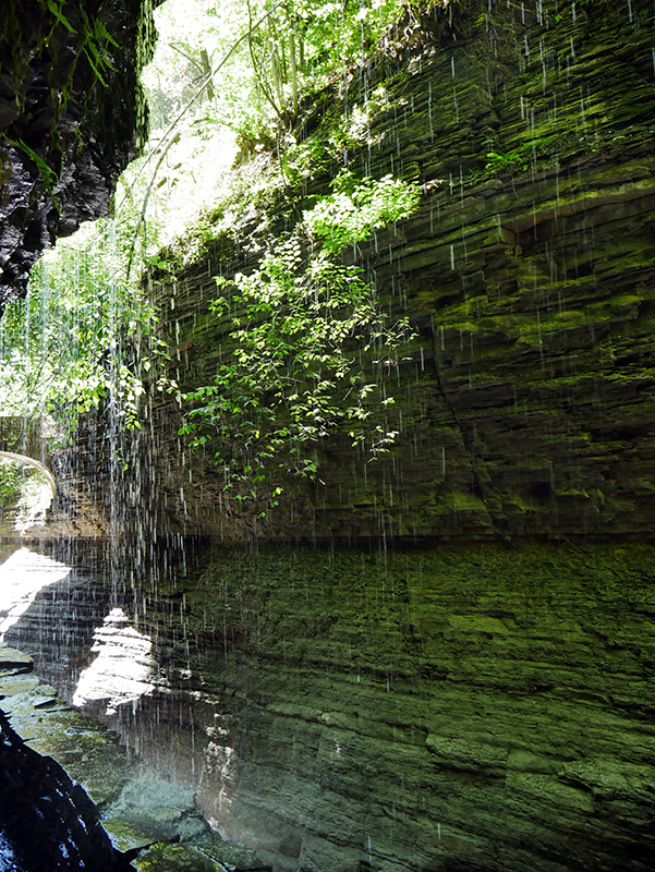 Watkins Glen State Park
