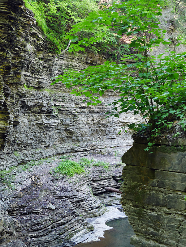 Watkins Glen State Park
