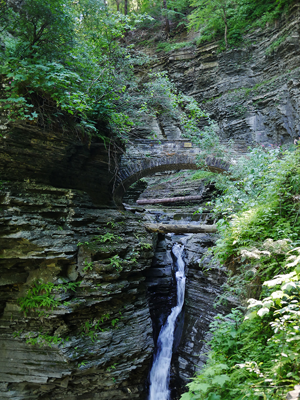 Watkins Glen State Park
