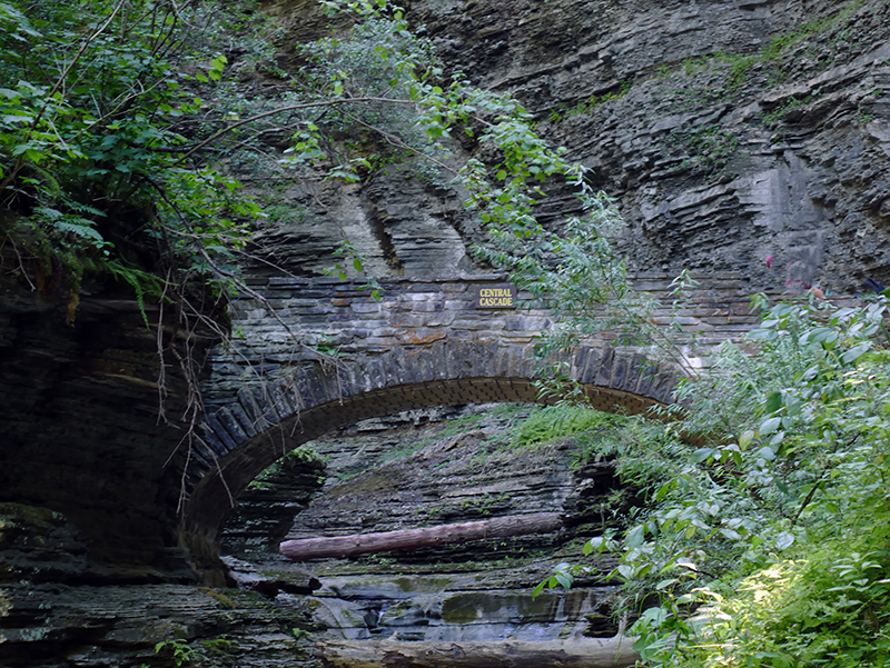 Watkins Glen State Park
