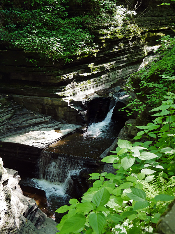 Watkins Glen State Park
