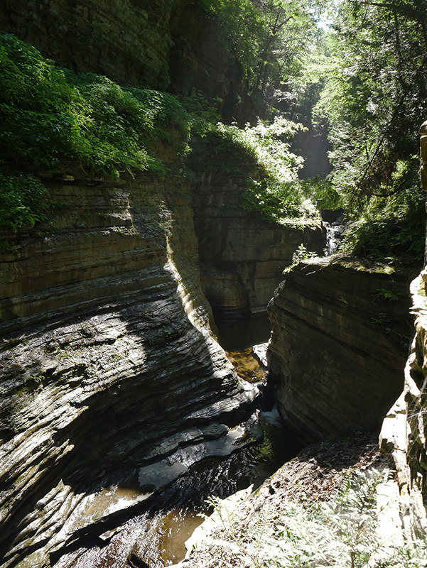 Watkins Glen State Park
