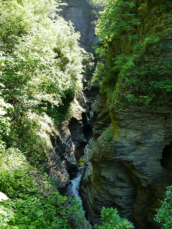 Watkins Glen State Park
