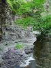 Filename=35.JPG
Filesize=726KiB
Dimensions=601x800
Date added=Jul 20, 2018 35.JPG