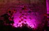 Filename=25.JPG
Filesize=617KiB
Dimensions=800x507
Date added=Sep 09, 2014 25.JPG