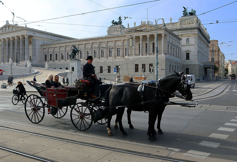 Typischer Fiaker in WIen
