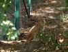 Filename=14.JPG
Filesize=655KiB
Dimensions=800x614
Date added=Aug 16, 2020 14.JPG