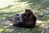 Filename=21.JPG
Filesize=613KiB
Dimensions=800x536
Date added=Aug 16, 2020 21.JPG