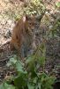 Filename=23.JPG
Filesize=619KiB
Dimensions=548x800
Date added=Aug 16, 2020 23.JPG