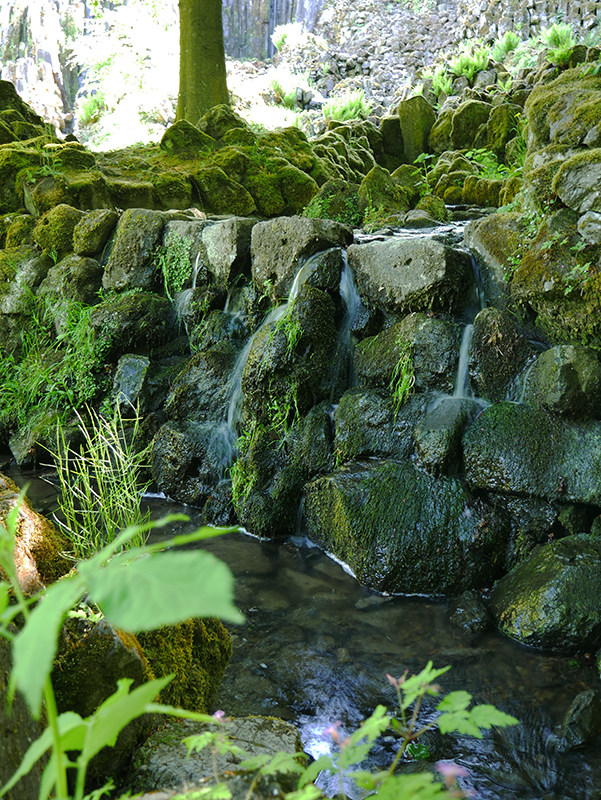 Am SteinhÃ¶fer Wasserfall
