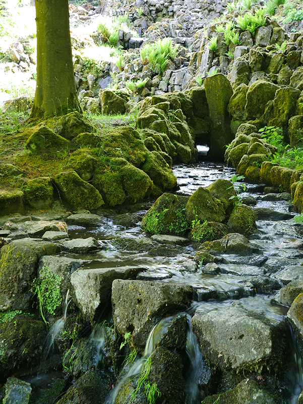 Am SteinhÃ¶fer Wasserfall
