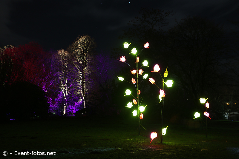 Winterleuchten Westfalenpark Dortmund
