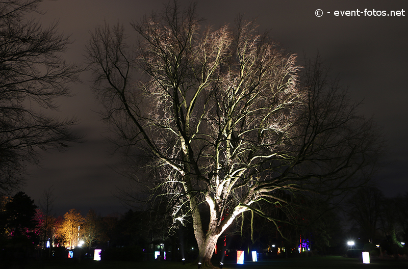 Winterleuchten Westfalenpark Dortmund
