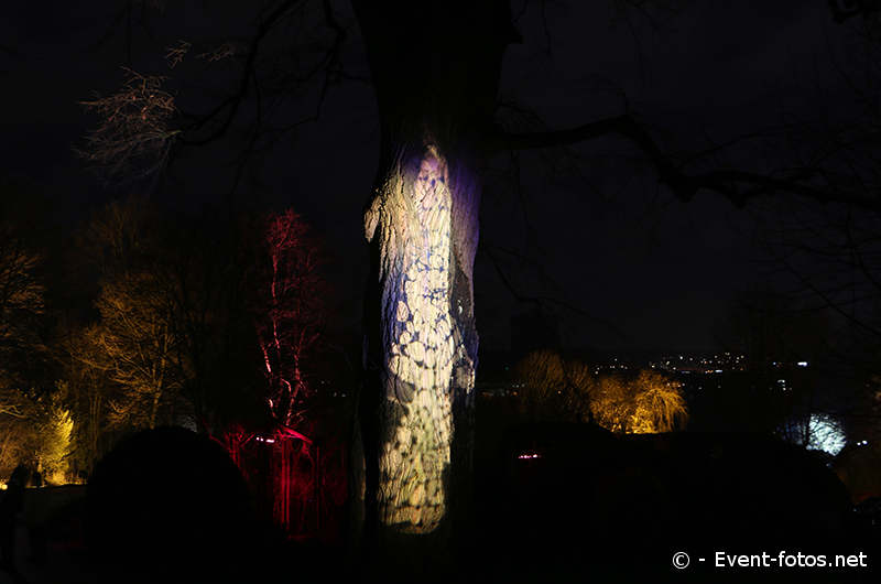 Winterleuchten Westfalenpark Dortmund
