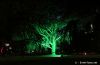 Filename=34.JPG
Filesize=361KiB
Dimensions=800x522
Date added=Jan 15, 2014 34.JPG