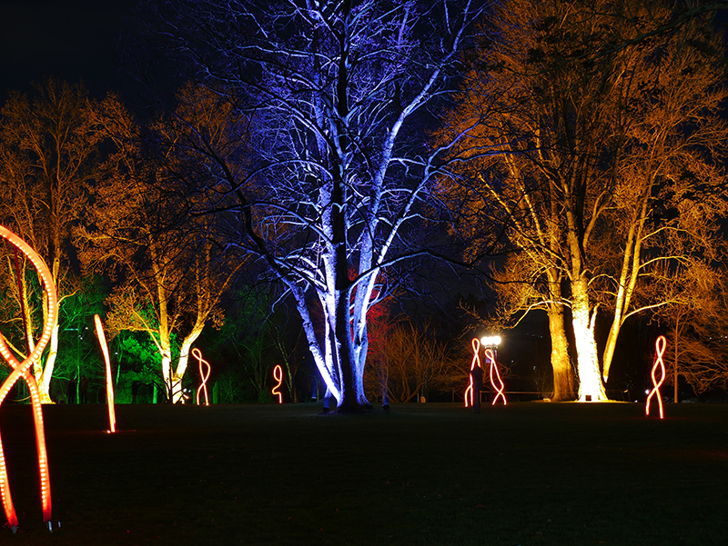 Winterleuchten Westfalenpark Dortmund
