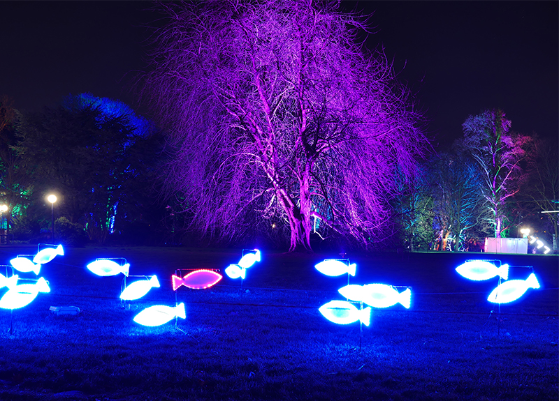 Winterleuchten Westfalenpark Dortmund
