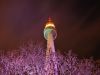Filename=23.JPG
Filesize=465KiB
Dimensions=800x601
Date added=Jan 15, 2018 23.JPG