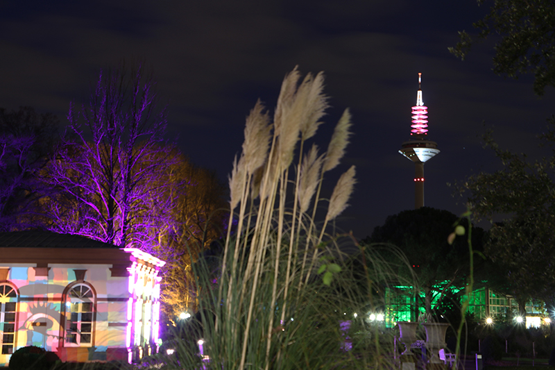 Winterlichter Frankfurt Palmengarten
