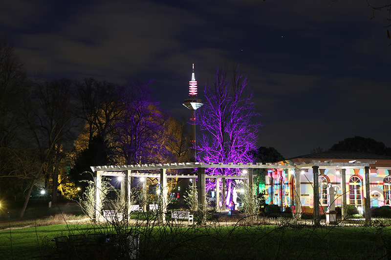 Winterlichter Frankfurt Palmengarten
