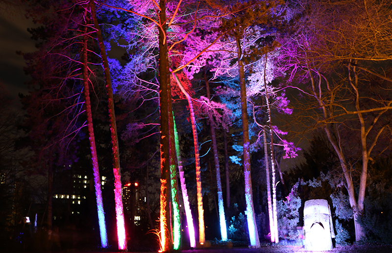 Winterlichter Frankfurt Palmengarten
