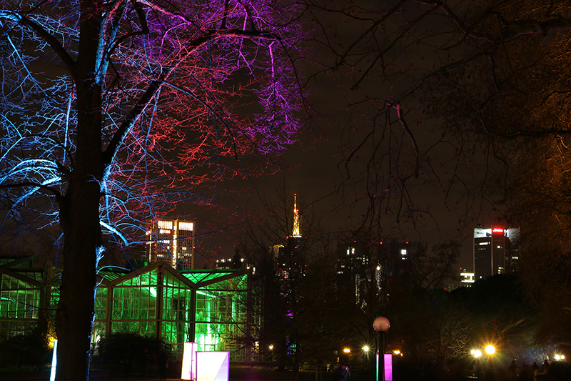 Winterlichter Frankfurt Palmengarten
