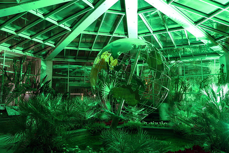 Winterlichter Frankfurt Palmengarten
