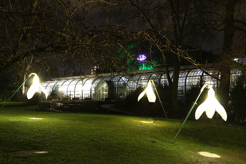 Winterlichter Frankfurt Palmengarten
