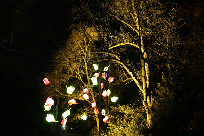 Winterlichter Frankfurt Palmengarten
