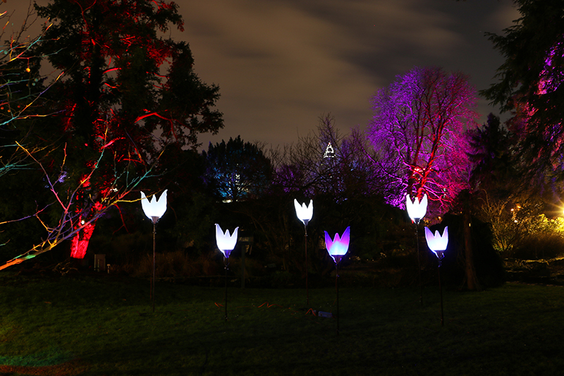 Winterlichter Frankfurt Palmengarten
