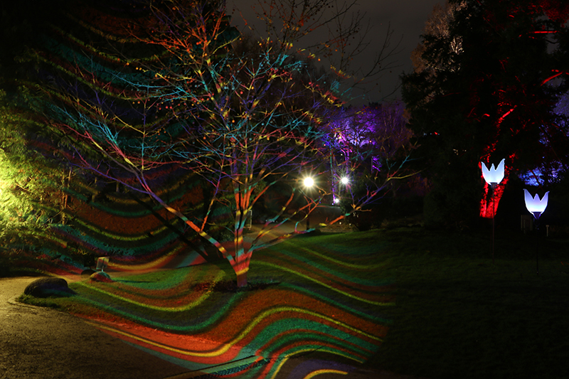 Winterlichter Frankfurt Palmengarten
