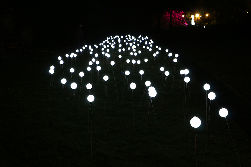 Winterlichter Frankfurt Palmengarten
