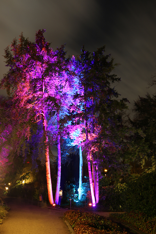 Winterlichter Frankfurt Palmengarten
