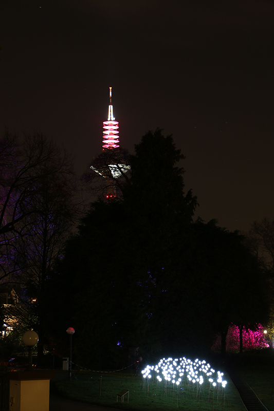 Winterlichter Frankfurt Palmengarten
