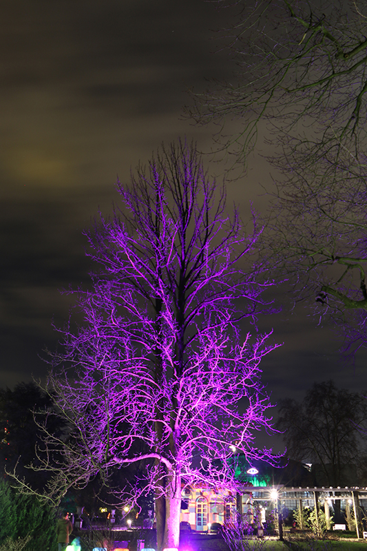 Winterlichter Frankfurt Palmengarten
