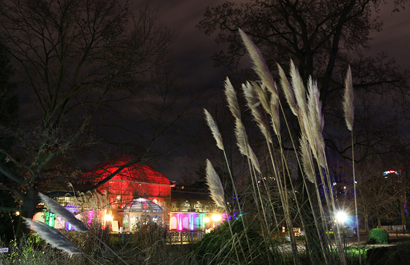 Winterlichter Frankfurt Palmengarten
