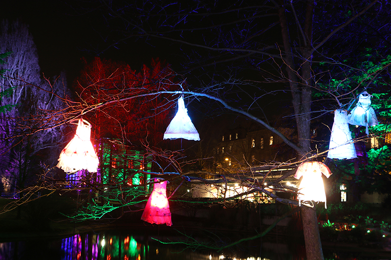 Winterlichter Frankfurt Palmengarten
