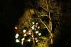 Filename=21.JPG
Filesize=555KiB
Dimensions=800x533
Date added=Jan 19, 2015 21.JPG