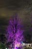 Filename=31.JPG
Filesize=522KiB
Dimensions=533x800
Date added=Jan 19, 2015 31.JPG