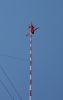 Filename=56.JPG
Filesize=95KiB
Dimensions=507x800
Date added=May 26, 2013 56.JPG