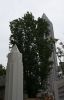 Filename=63.JPG
Filesize=133KiB
Dimensions=513x800
Date added=May 26, 2013 63.JPG
