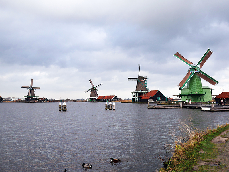 WindmÃ¼hlen Zaanse Schans
