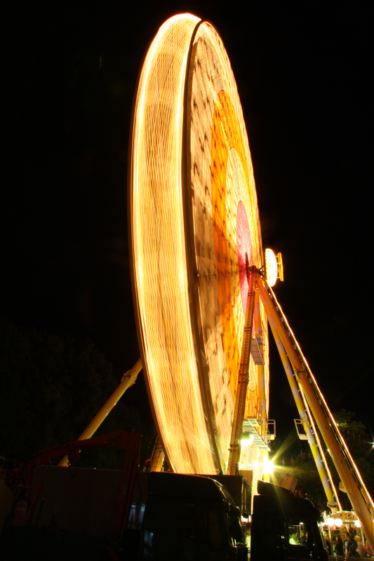 Wonder Wheel by Night
